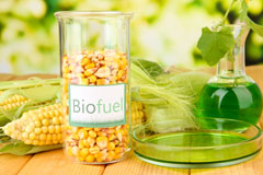 New Pale biofuel availability